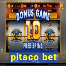 pitaco bet